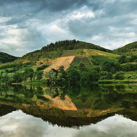 Апартаменты Moselglueck Санкт-Альдегунд Экстерьер фото